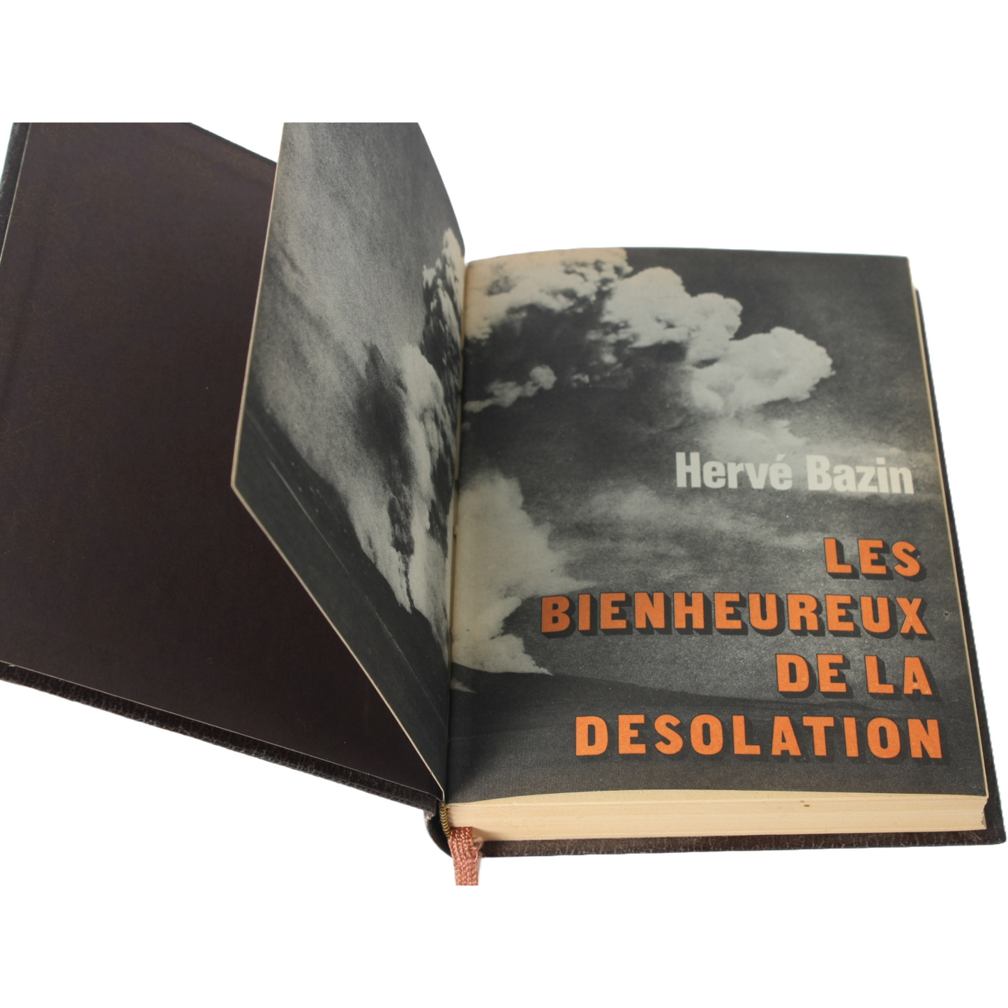 Luxury French Literary Collection in Faux Leather - Solzhenitsyn, Lanoux, Bazin,