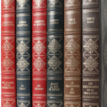 Luxury French Literary Collection in Faux Leather - Solzhenitsyn, Lanoux, Bazin,