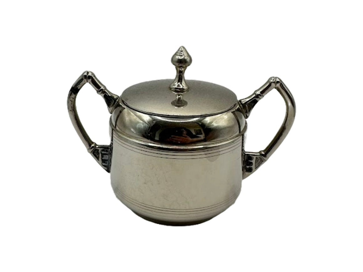 Prachtig Vintage Thee- en Koffieservies van Rio te Holland uit de late jaren '50!