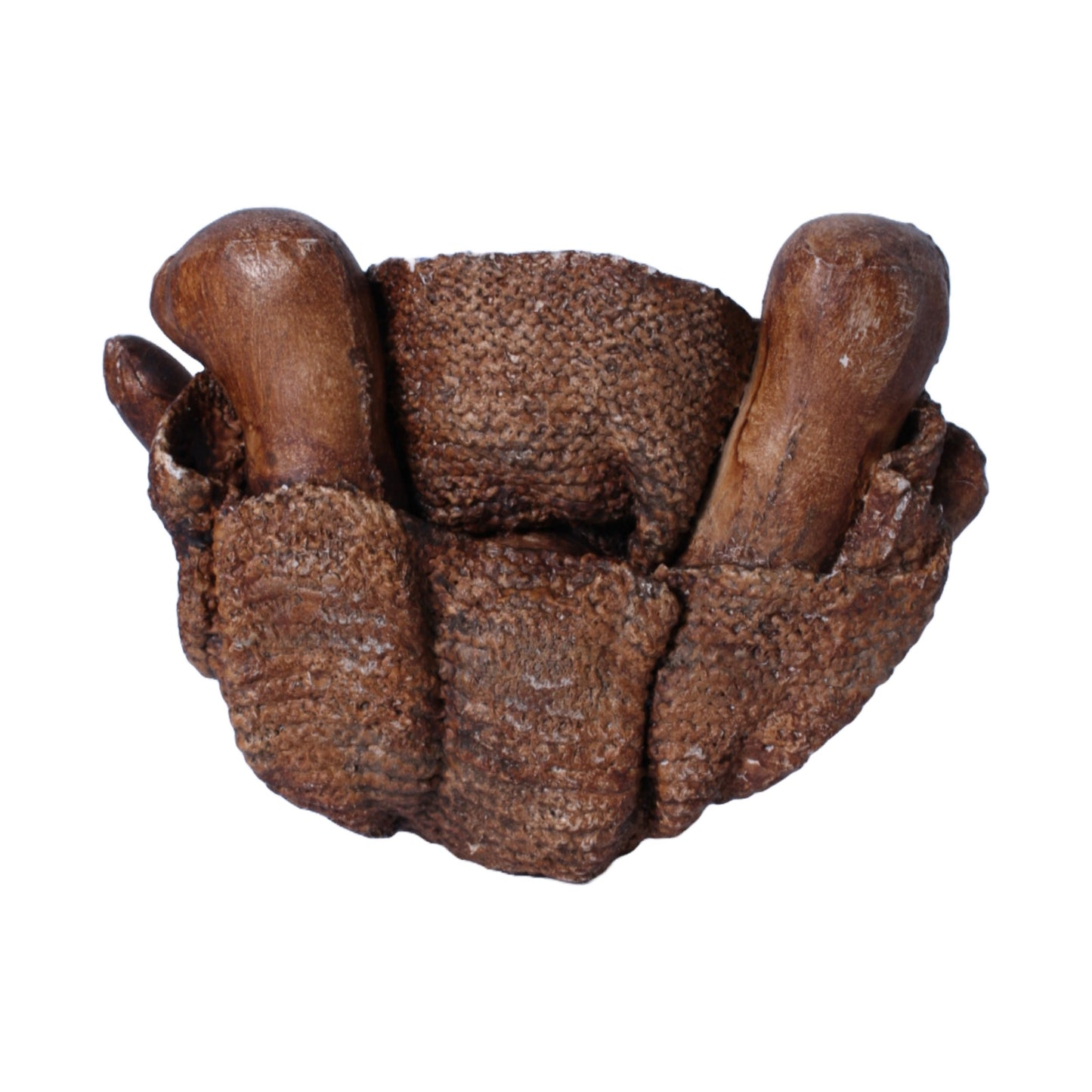 Bronskleurige Teddybeer - Handgemaakt in Engeland - Zittend 23 cm - Gratis Verzending - Kunst - Uniek - Leren teddybeer - Vintage Teddybeer
