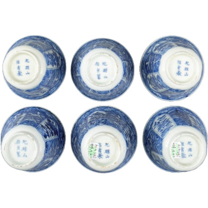 Antiek Hichozan Shinpo theeservies | 19e-eeuws Japans Arita-porselein | Zeldzaam blauw-wit servies met bloemmotieven | Verzamelobject